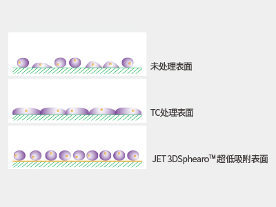 超低吸附表面具有共價結(jié)合的水凝膠層，具有極強(qiáng)的抗蛋白吸附性和抗細(xì)胞貼壁性，可有效抑制細(xì)胞附著